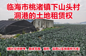 临海市桃渚镇下山头村洞港的土地租赁权